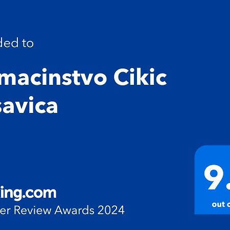 Pensjonat Domacinstvo Cikic Zasavica Zewnętrze zdjęcie