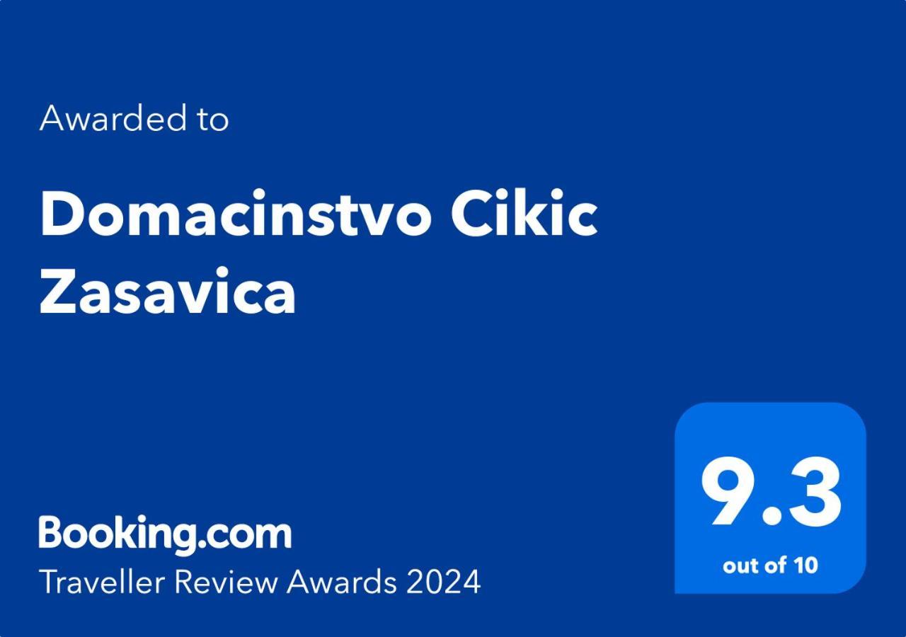 Pensjonat Domacinstvo Cikic Zasavica Zewnętrze zdjęcie