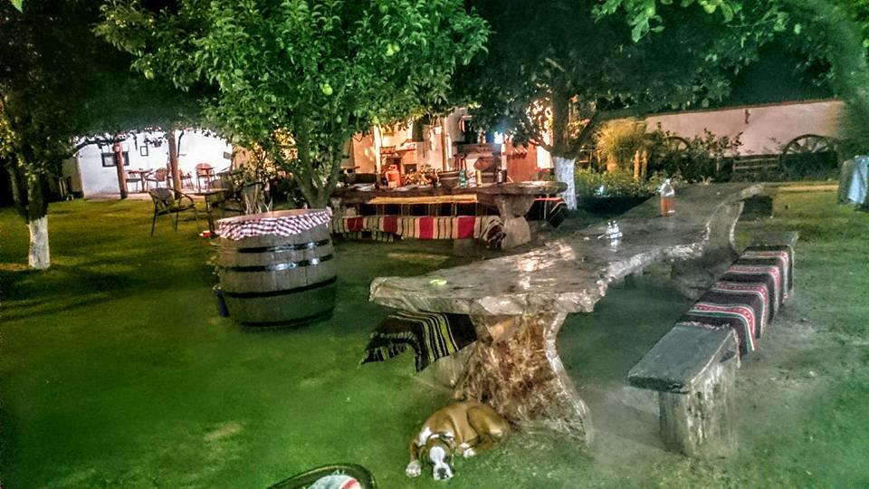 Pensjonat Domacinstvo Cikic Zasavica Zewnętrze zdjęcie