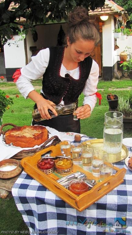 Pensjonat Domacinstvo Cikic Zasavica Zewnętrze zdjęcie